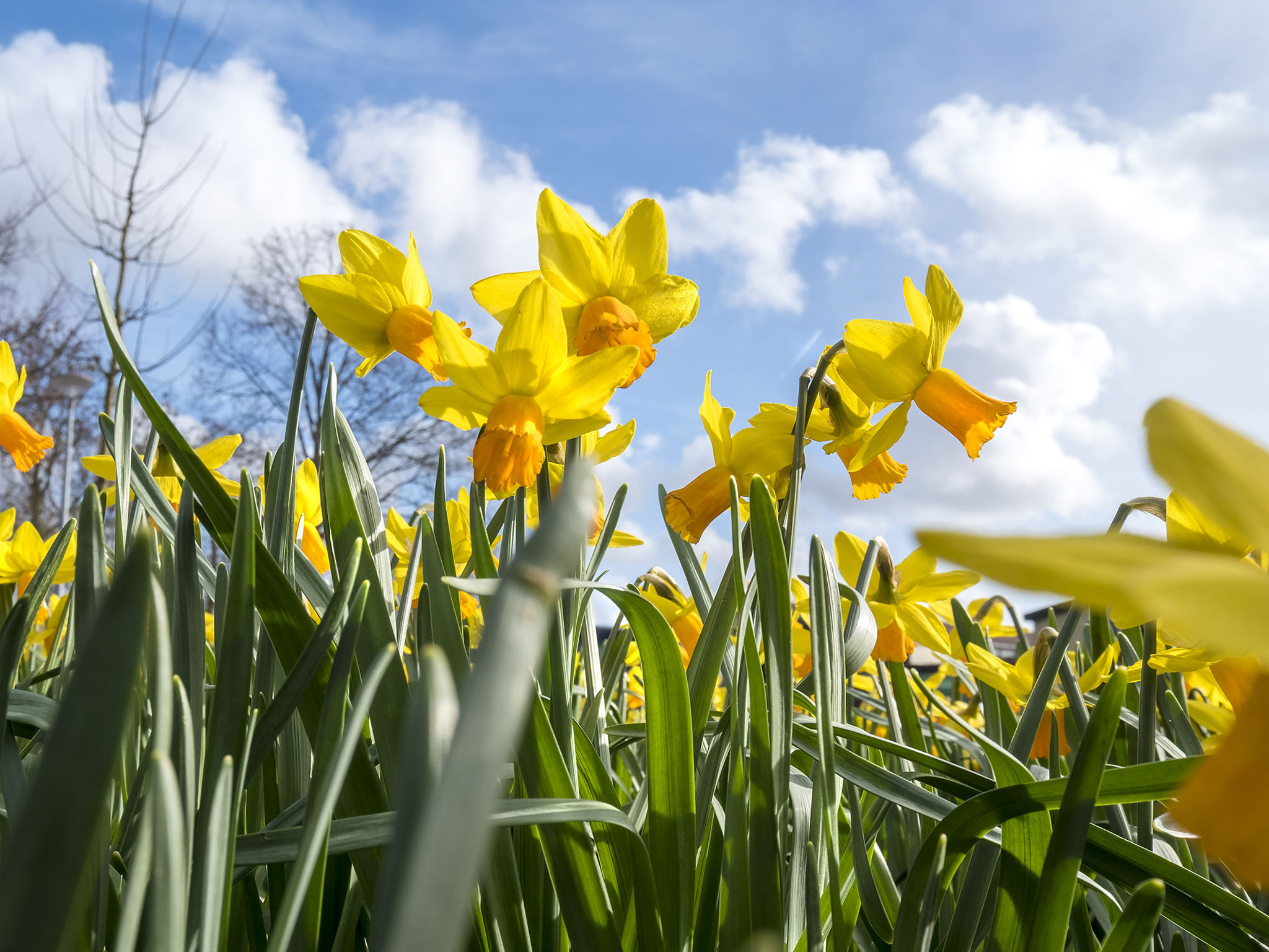 Veel gestelde vragen